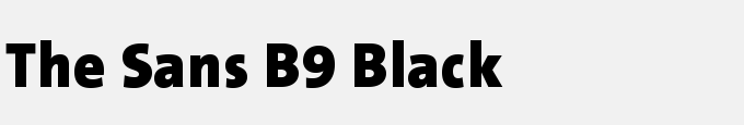 The Sans B9 Black